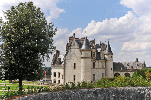  Il castello di Amboise - Loira , Francia photo