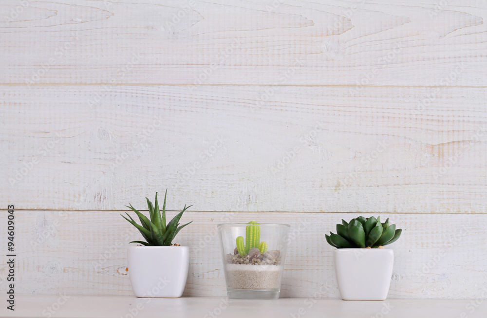 Succulents and cactus in pots on over white wooden background. Home interior decoration. Scandinavian or shabby chic style. Copy space image Succulents and cactus in pots on over white wooden background. Home interior decoration. Scandinavian or shabby chic style. Copy space image
