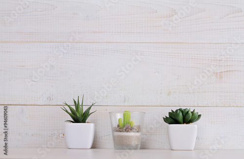 Succulents and cactus in pots on over white wooden background. Home interior decoration. Scandinavian or shabby chic style. Copy space image © dream@do