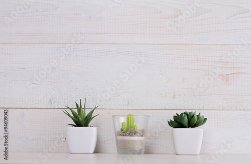 Succulents and cactus in pots on over white wooden background. Home interior decoration. Scandinavian or shabby chic style. Copy space image