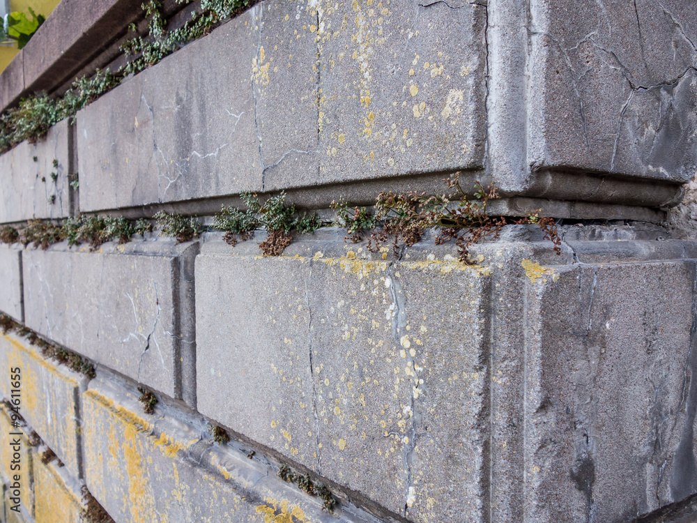 Naklejka premium Gebäudeschäden