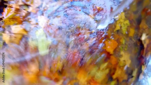 Water Drops into a pool of water covering autumn leaves