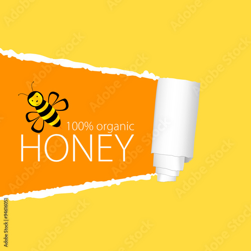 bee with honey yellow tearing paper vector