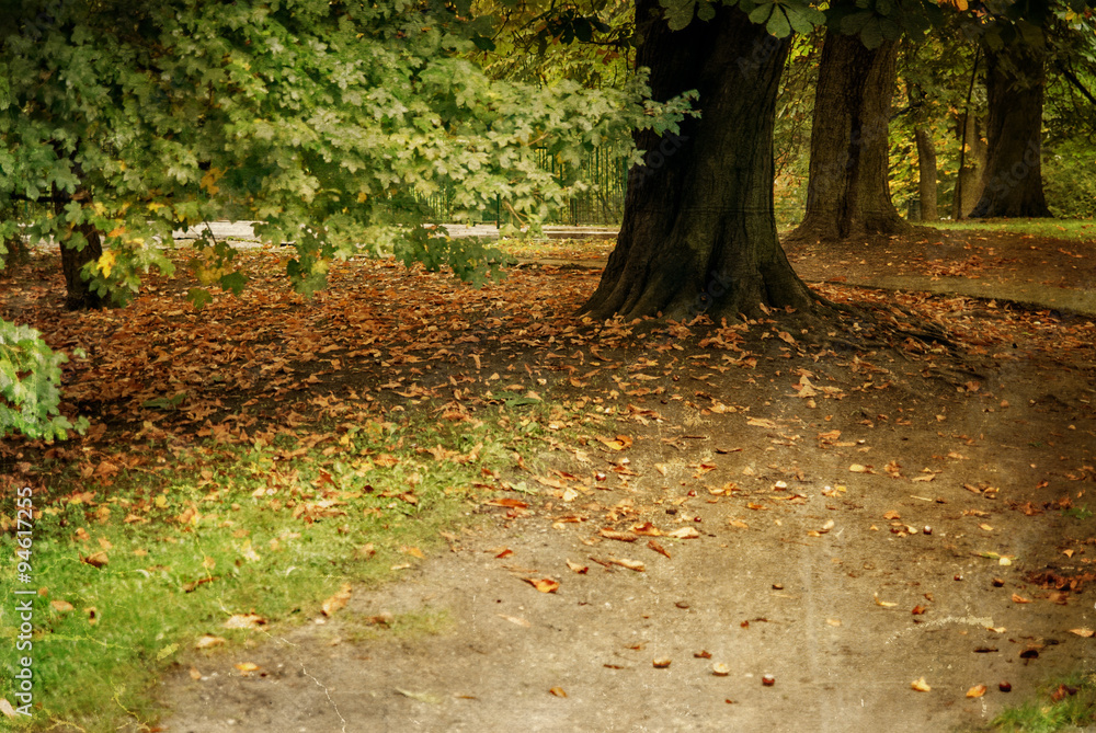 Autumn park, blur abstract background Autumn park, blur abstract background