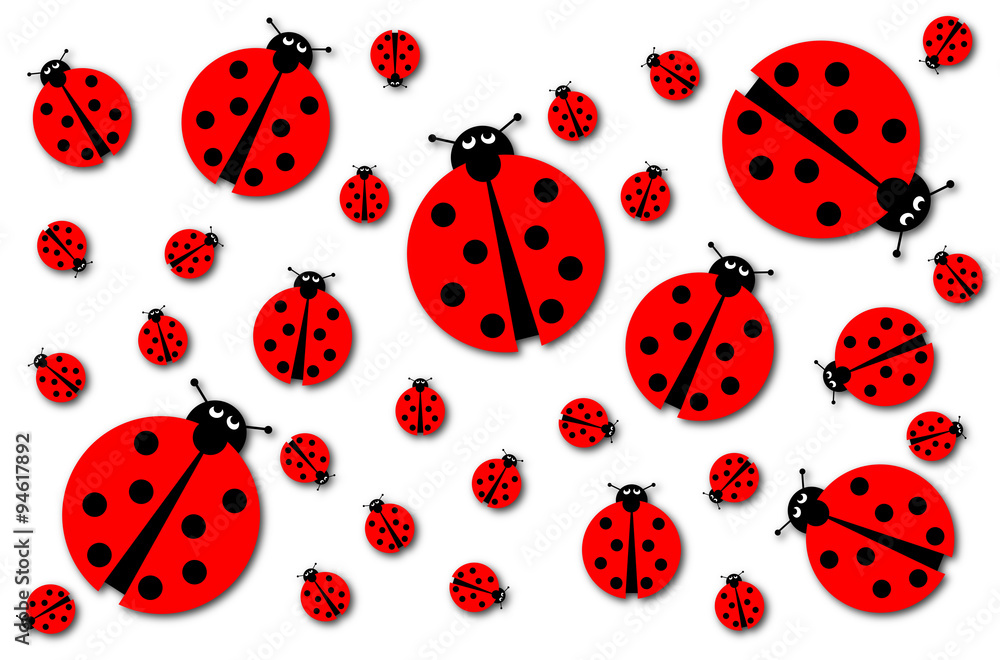 Obraz premium Many Ladybugs Shadows