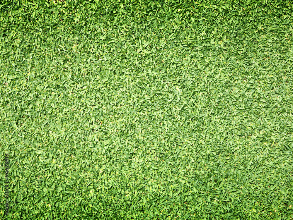 Obraz premium Golf Courses green lawn