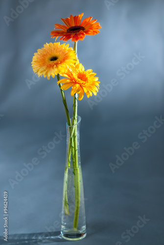vertical Photo gerberas standing in a vase with water