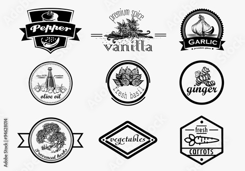 Spice logo set in vintage style. Vector hand drawn spice logotypes collection
