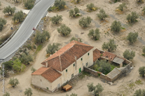 The farm on the road in an olive orchard © TRINGA