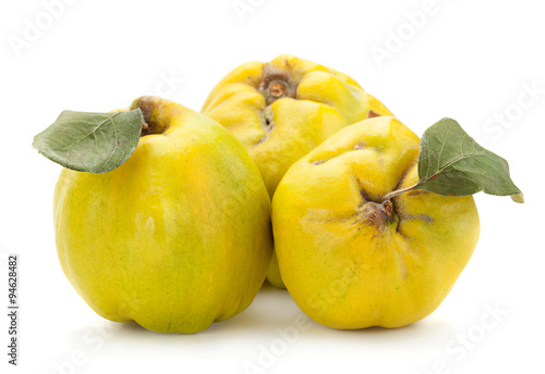 Quince fruit closeup