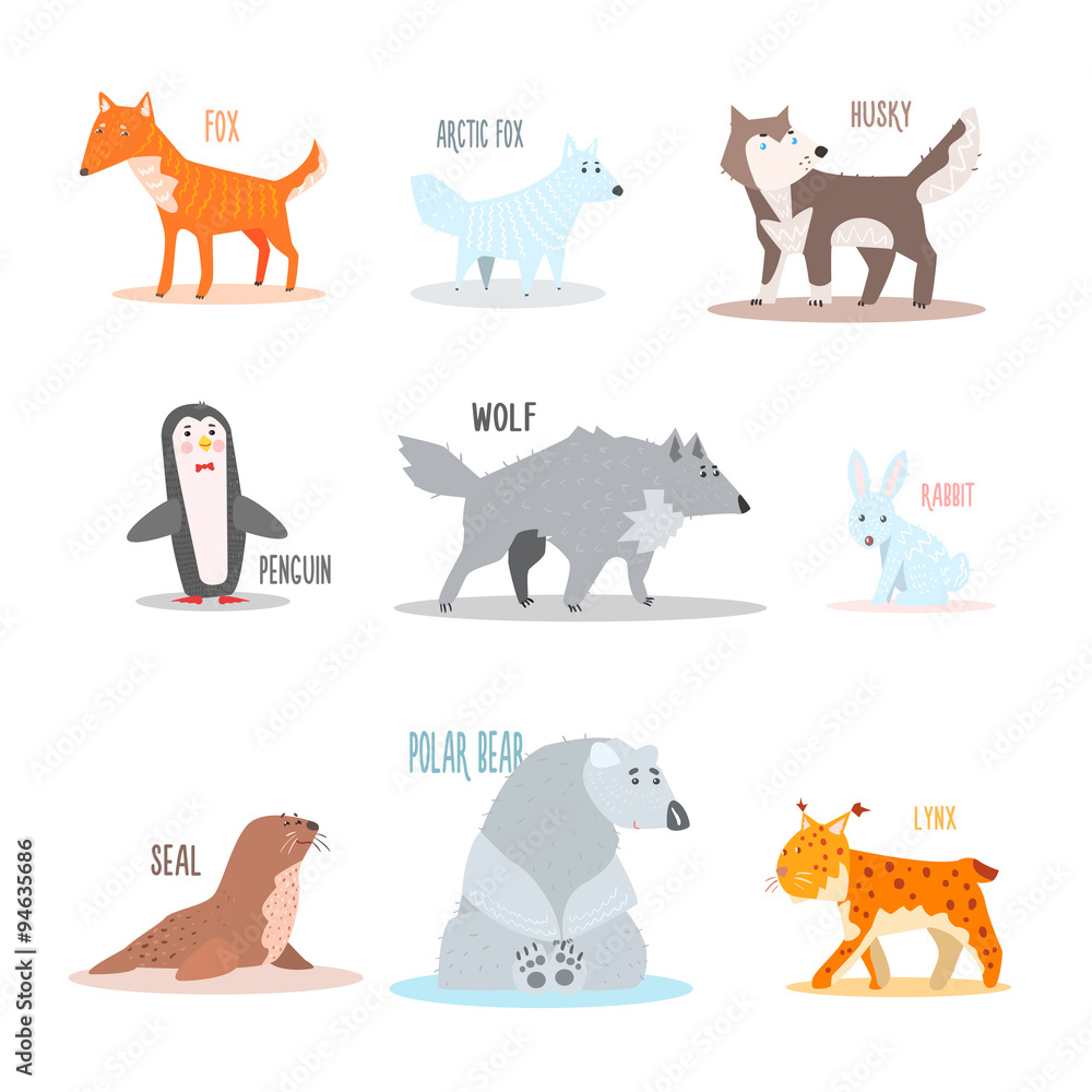Obraz premium Arctic and Antarctic Animals, Penguin. Vector Illustration