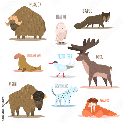 Arctic and Antarctic Animals, Birds. Vector Illustration