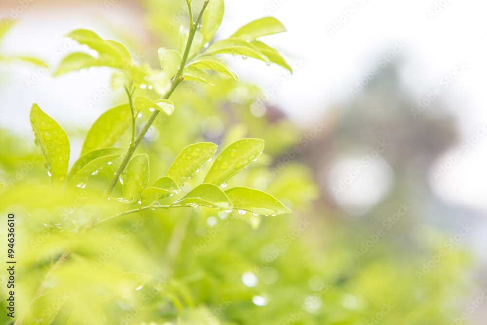 After rainny in Lao After rainny in Lao