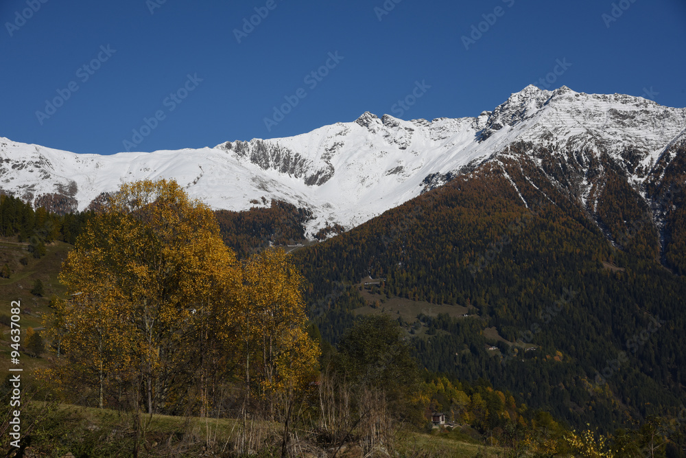 montagna autunno nevicata nevicate colori autunno cime innevate panorama