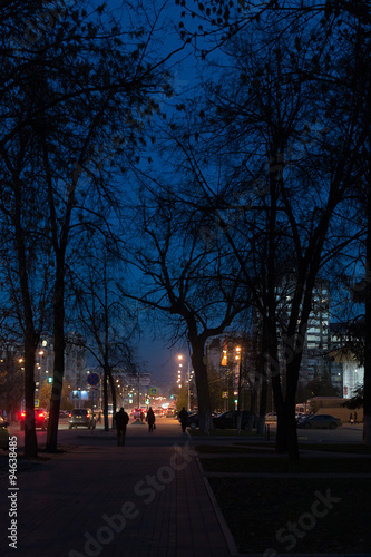 City Treeline at Dusk