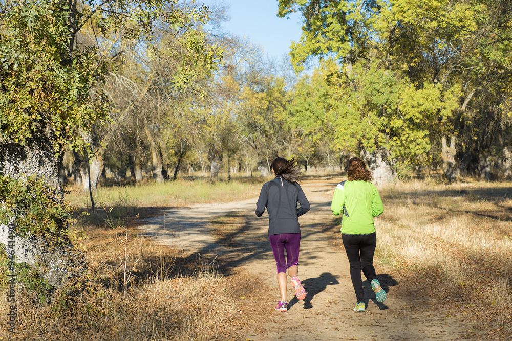 Deportes individuales al aire libre, correr y saltar en contacto con la naturaleza Deportes individuales al aire libre, correr y saltar en contacto con la naturaleza