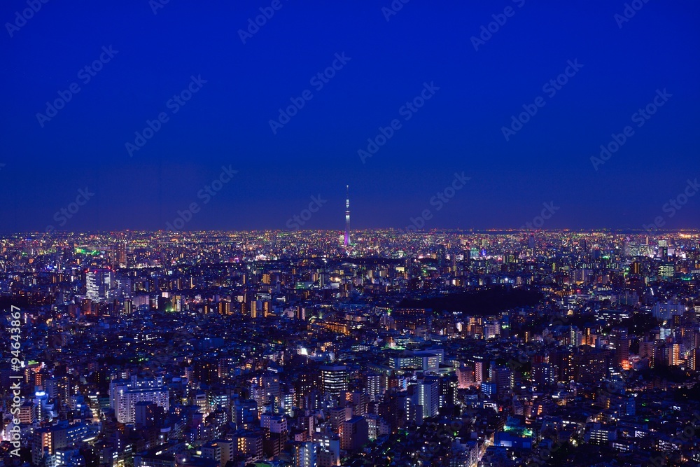 Obraz premium 東京のビル群とスカイツリーの夜景