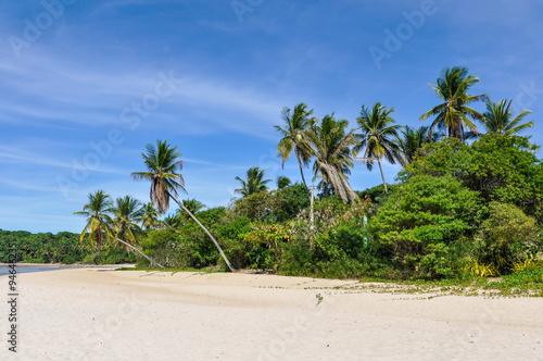 Boipeba Island Beach  Morro de Sao Paulo  Salvador  Brazil