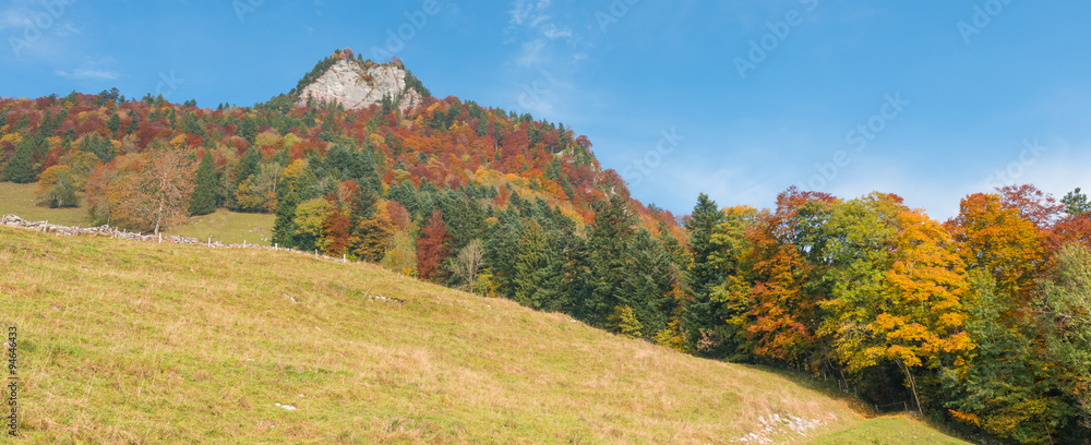 Magnificent paints of the autumn landscape. Magnificent paints of the autumn landscape.