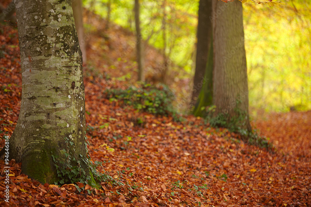 Herbst Herbst