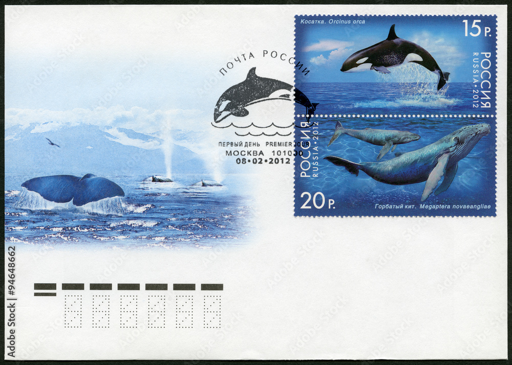 Fototapeta premium RUSSIA - 2012: shows Humpback Whale and Killer Whale
