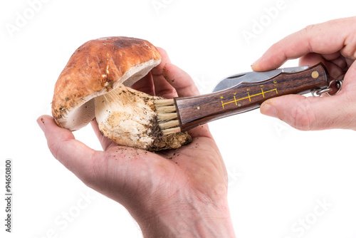 Pulitura funghi porcini con pennello su sfondo bianco photo
