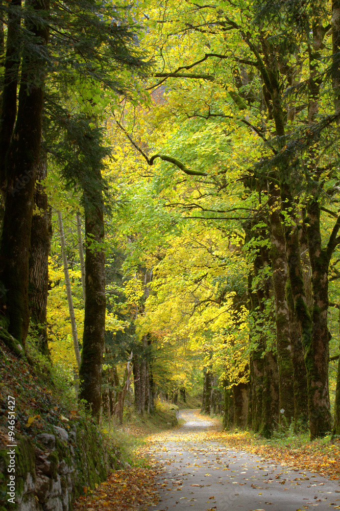 Obraz premium paysage d'automne