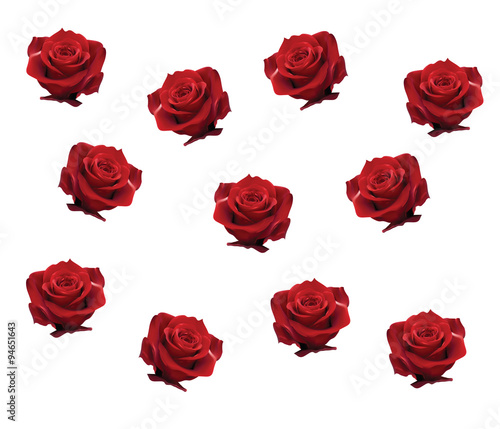 Background with roses