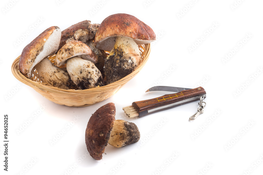 Funghi porcini nel cestino di vimini e pennello coltello funghi isolati su  sfondo bianco Stock Photo | Adobe Stock