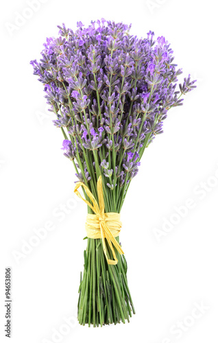 Fototapeta Naklejka Na Ścianę i Meble -  Bunch of lavender flowers on a white background