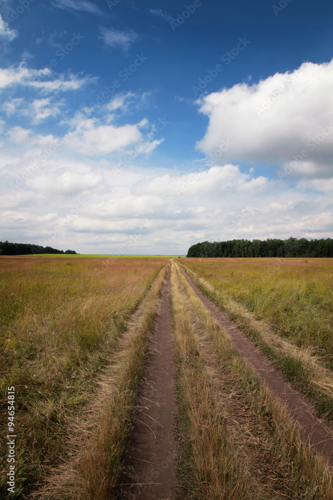 дорога в поле