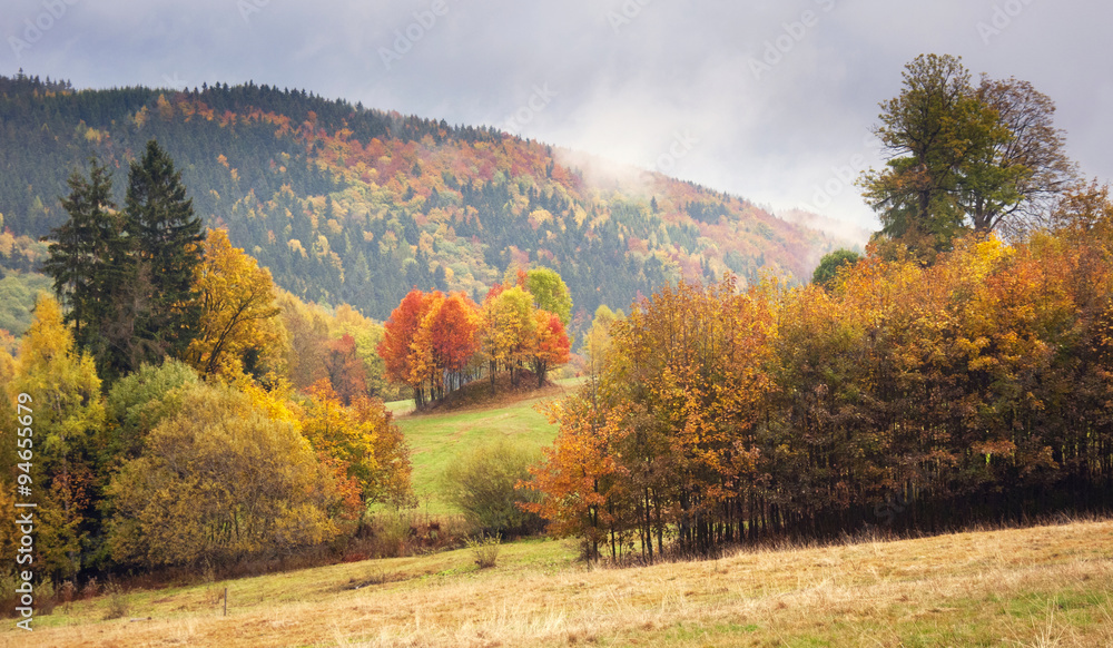Fototapeta premium Autumn scenery in Krkonose national park, Czech Republic