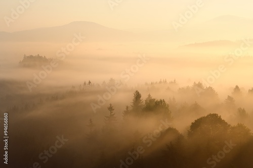 Foggy morning in a Czech republic. Golden rays on are shining at the forest. Nature background early morning