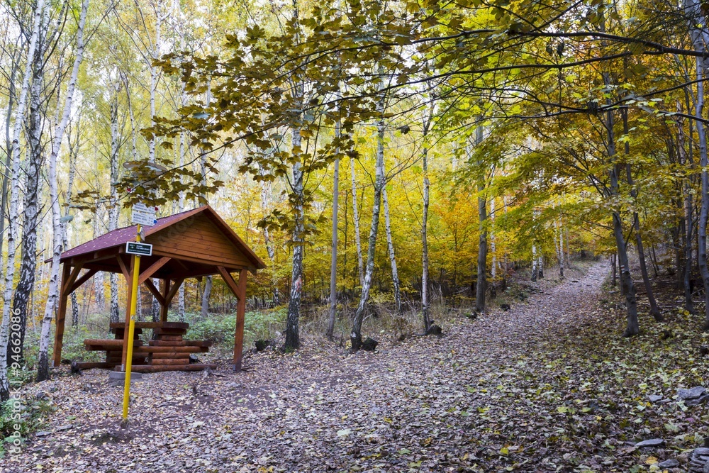 Beautiful colors of autumn landscape Beautiful colors of autumn landscape
