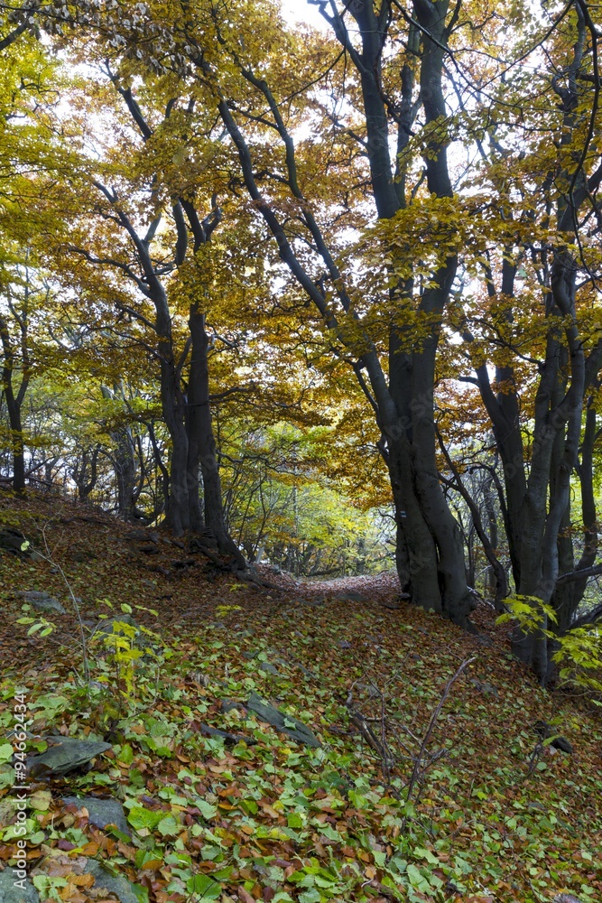 Beautiful colors of autumn landscape Beautiful colors of autumn landscape
