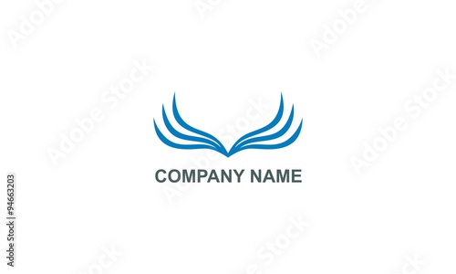 abstract wing fly colored company logo