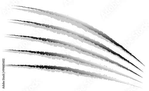 Claw marks, claw scratches, paw marks vector.