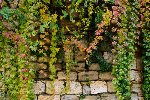 Background old stone wall and autumn leaves © pavelsm27