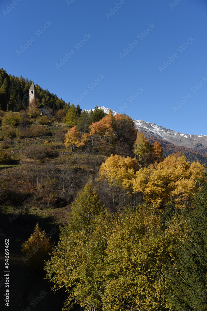 montagna autunno alberi larici neve cime 