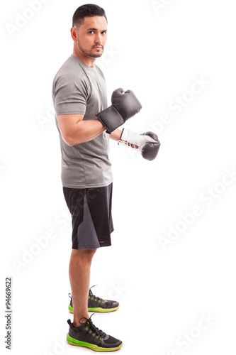 Latin boxer on a white background