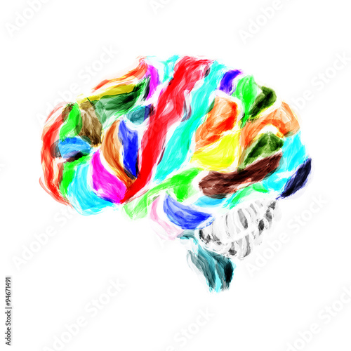 human brain painted with watercolors
