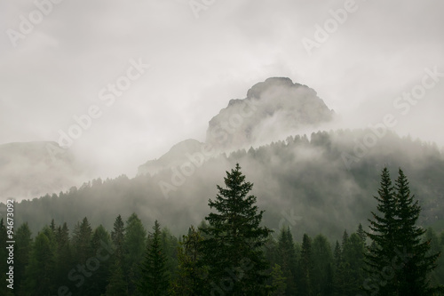 Berg im Nebel mit Tannen im Vordergrund