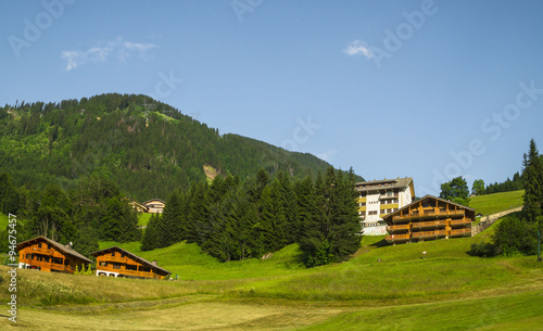 Green landscape in Chatel village ,Portes du Soleil  touristic region, French Alps photo