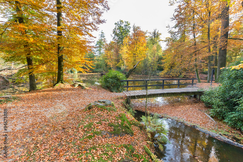 Forest pond with bridge in autumn colors photo