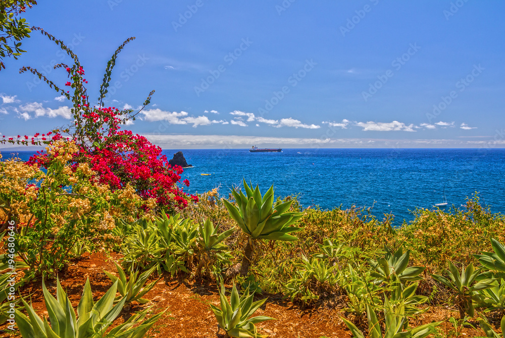 Madeira island landscape, seaside