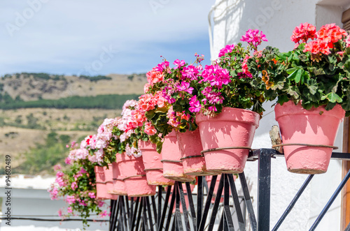 Fototapeta Naklejka Na Ścianę i Meble -  geranium plantpots