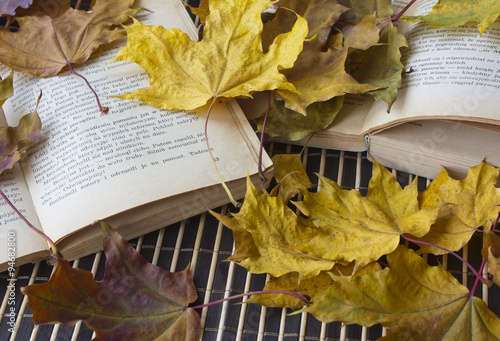 open books in yellow leaves