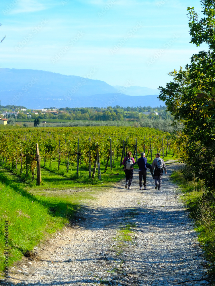 Fototapeta premium passeggiata in campagna 1