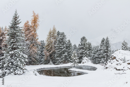 Romantic snowy lake