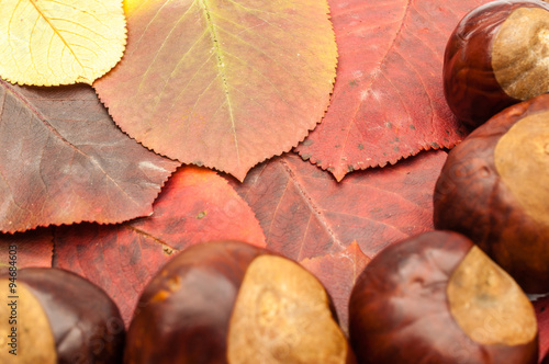 Herbststimmung